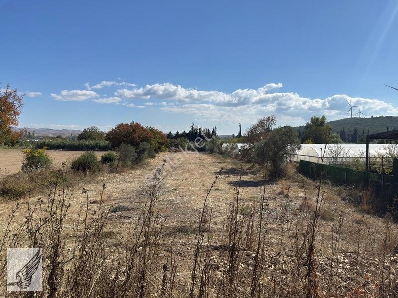 Seferihisar Turgut Köyü Asfalt Yol Cepheli 3.134M² Satılık Tarla