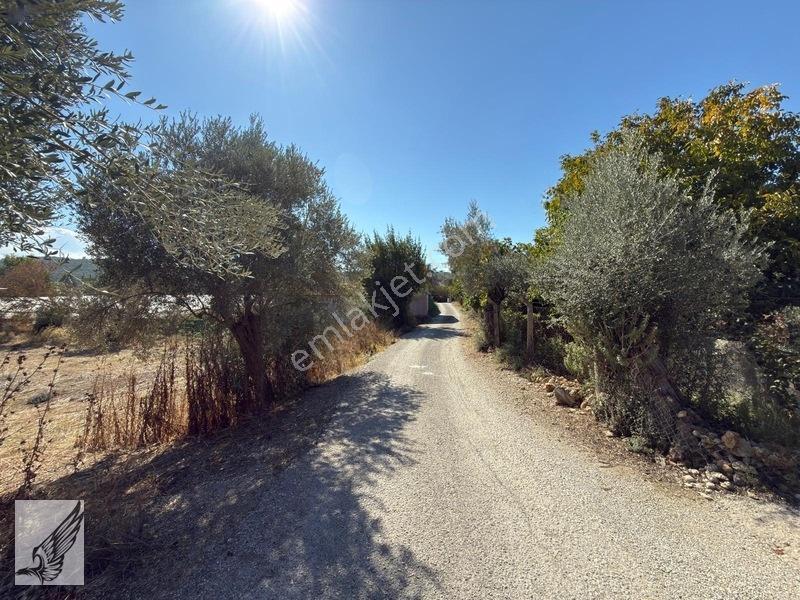 Seferihisar Turgut Köyü Asfalt Yol Cepheli 3.134m² Satılık Tarla — fotoğraf 2