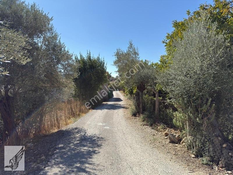 Seferihisar Turgut Köyü Asfalt Yol Cepheli 3.134m² Satılık Tarla — fotoğraf 10
