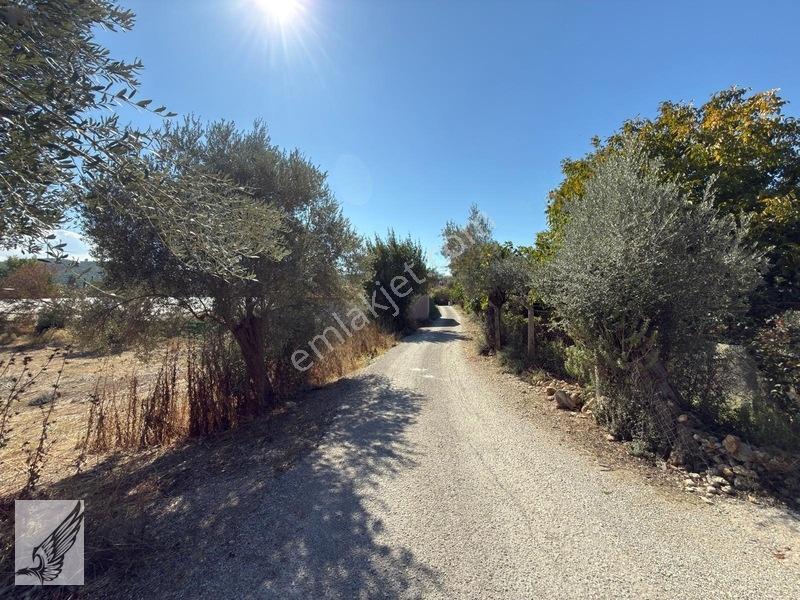 Seferihisar Turgut Köyü Asfalt Yol Cepheli 3.134m² Satılık Tarla — fotoğraf 13