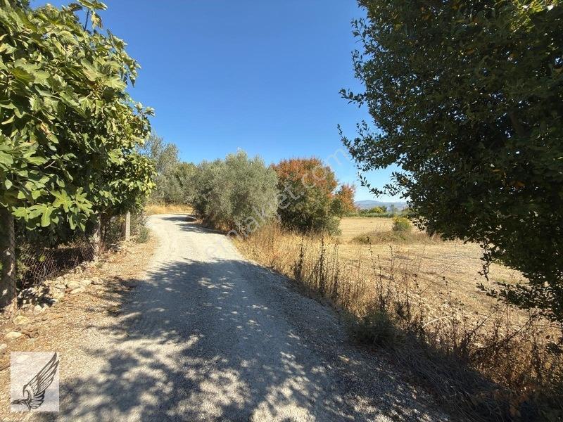 Seferihisar Turgut Köyü Asfalt Yol Cepheli 3.134m² Satılık Tarla — fotoğraf 14