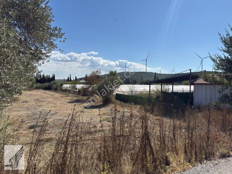 Seferihisar Turgut Köyü Asfalt Yol Cepheli 3.134m² Satılık Tarla — fotoğraf 15
