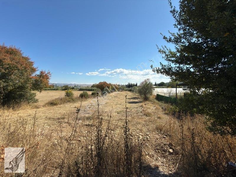 Seferihisar Turgut Köyü Asfalt Yol Cepheli 3.134m² Satılık Tarla — fotoğraf 16
