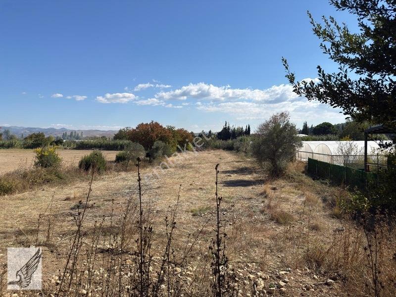 Seferihisar Turgut Köyü Asfalt Yol Cepheli 3.134m² Satılık Tarla — fotoğraf 17