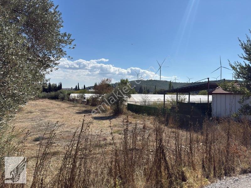 Seferihisar Turgut Köyü Asfalt Yol Cepheli 3.134m² Satılık Tarla — fotoğraf 18