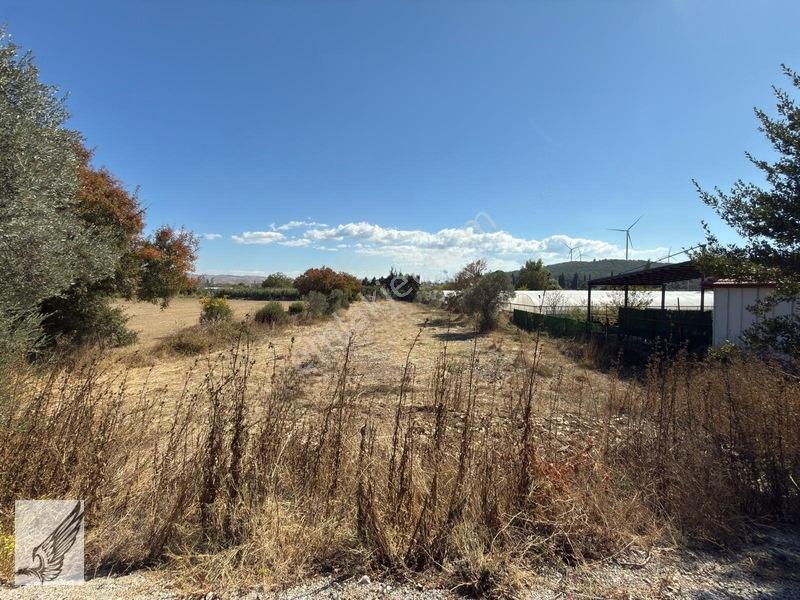 Seferihisar Turgut Köyü Asfalt Yol Cepheli 3.134m² Satılık Tarla — fotoğraf 19