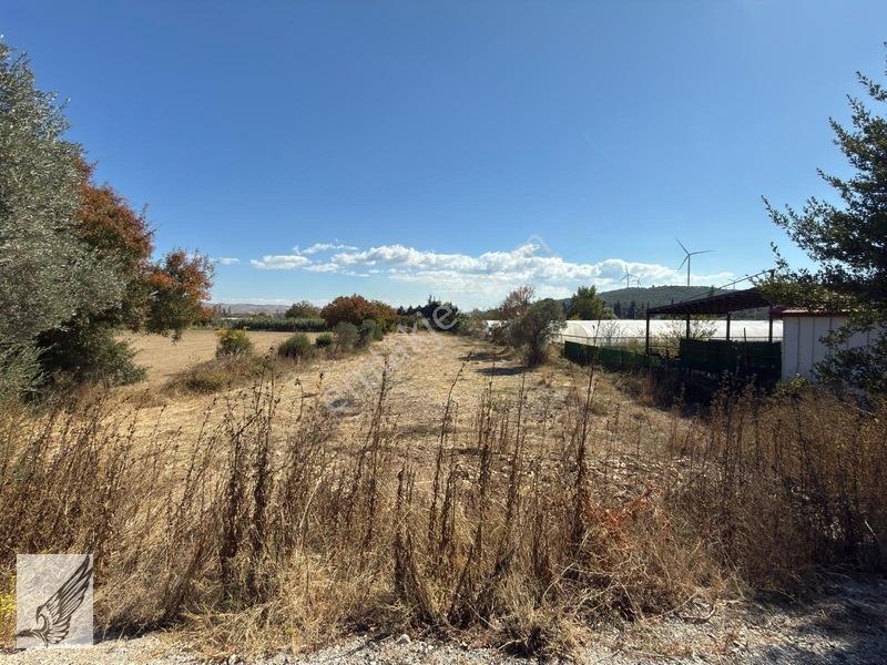 Seferihisar Turgut Köyü Asfalt Yol Cepheli 3.134m² Satılık Tarla — fotoğraf 20