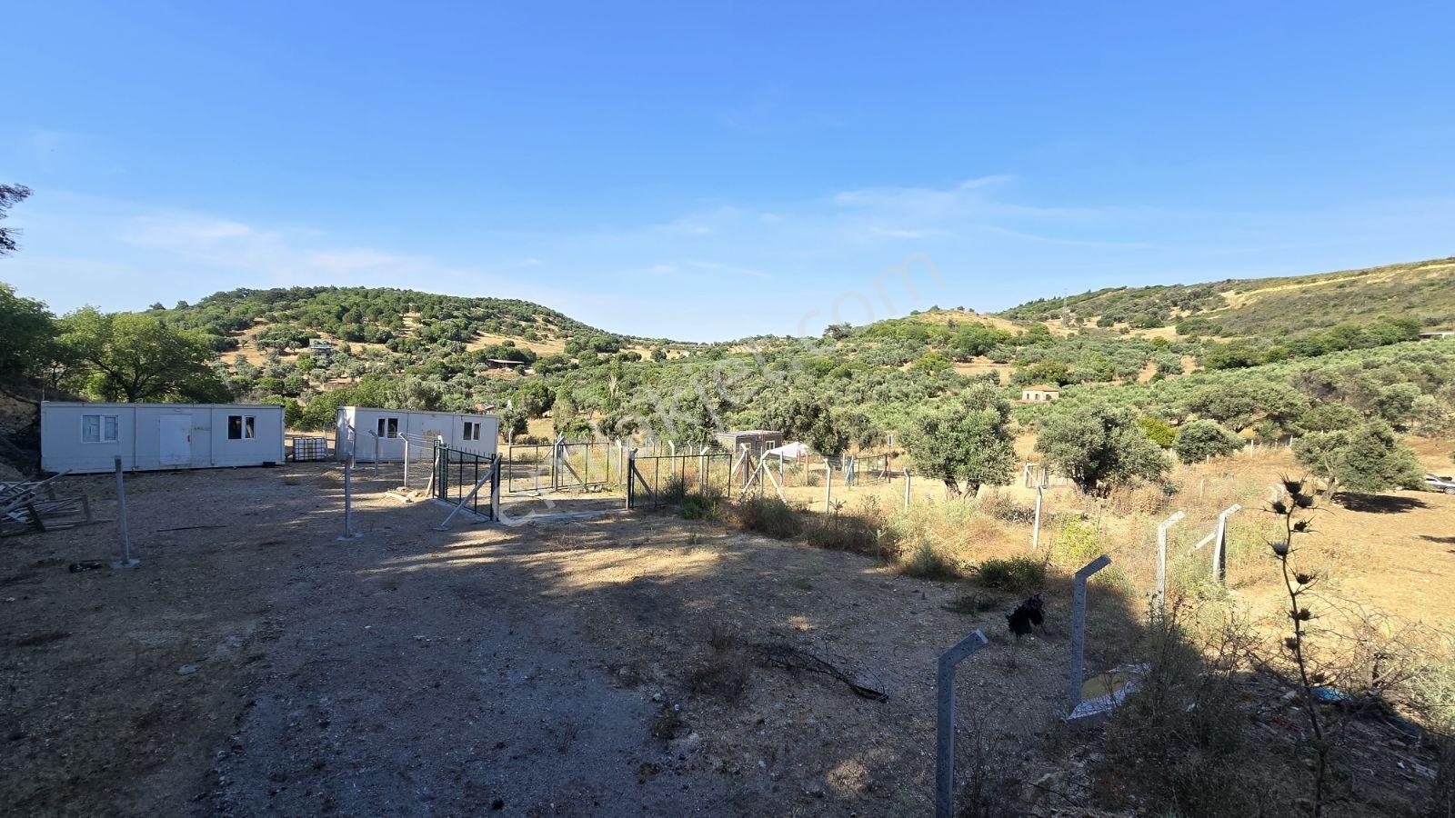 İzmir Foça Kozbeyli 295 M² Vaadi Manzaralı Parsel