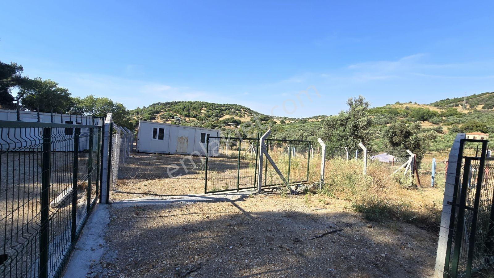 İzmir Foça Kozbeyli 295 M² Vaadi Manzaralı Parsel — fotoğraf 2