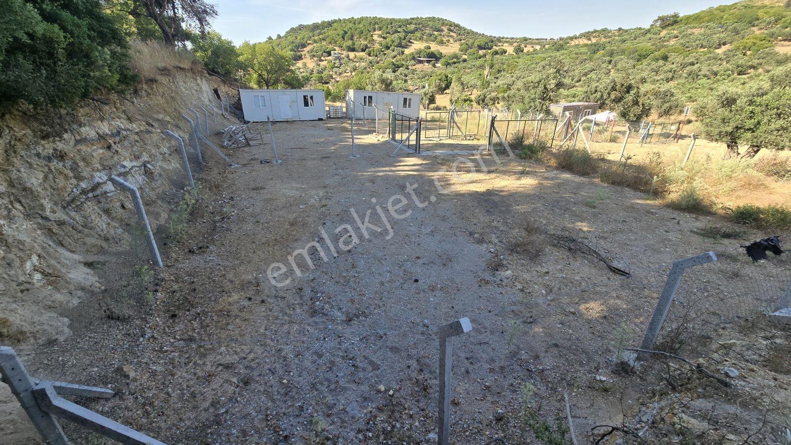 İzmir Foça Kozbeyli 295 M² Vaadi Manzaralı Parsel — fotoğraf 4