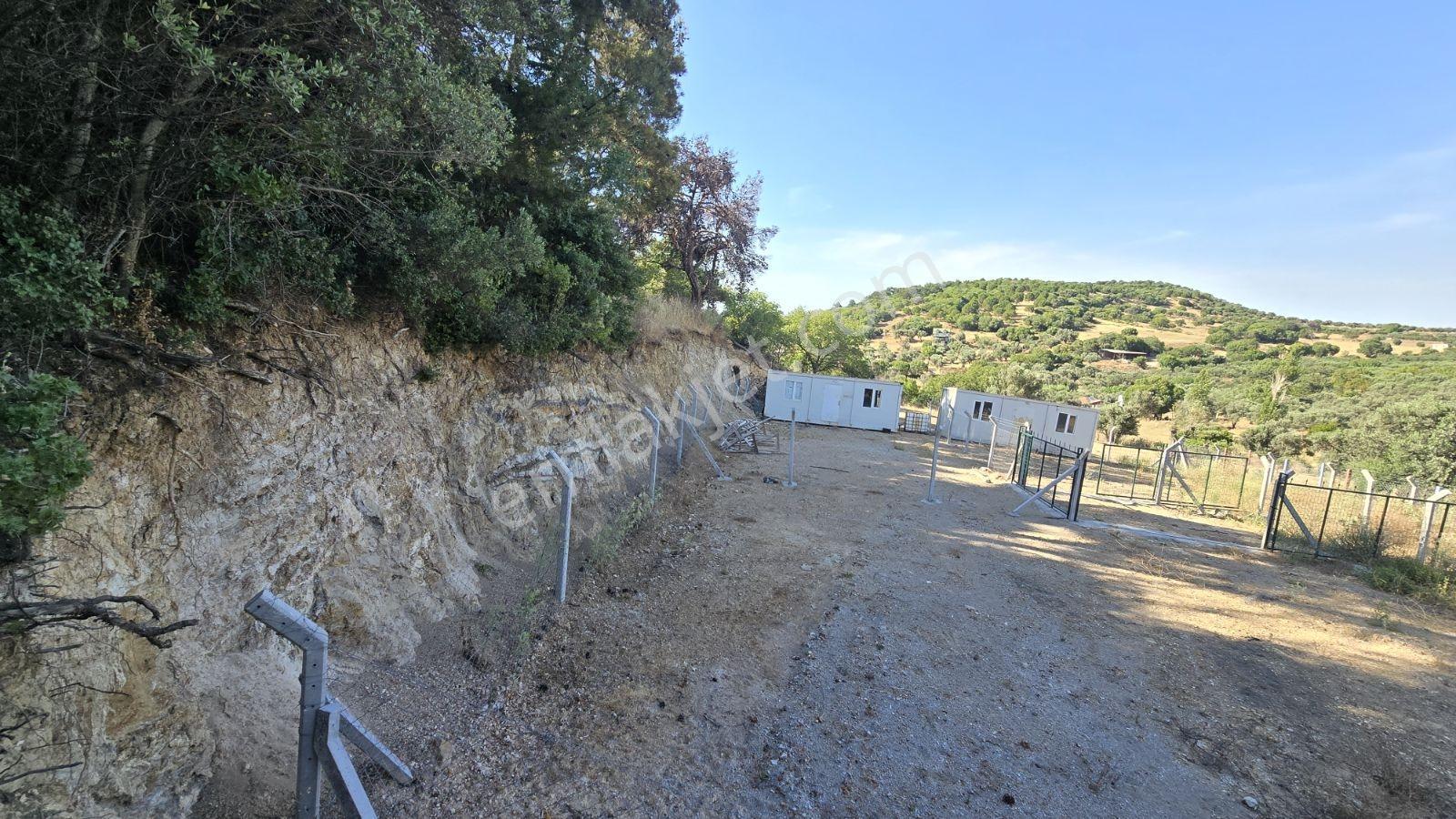 İzmir Foça Kozbeyli 295 M² Vaadi Manzaralı Parsel — fotoğraf 5