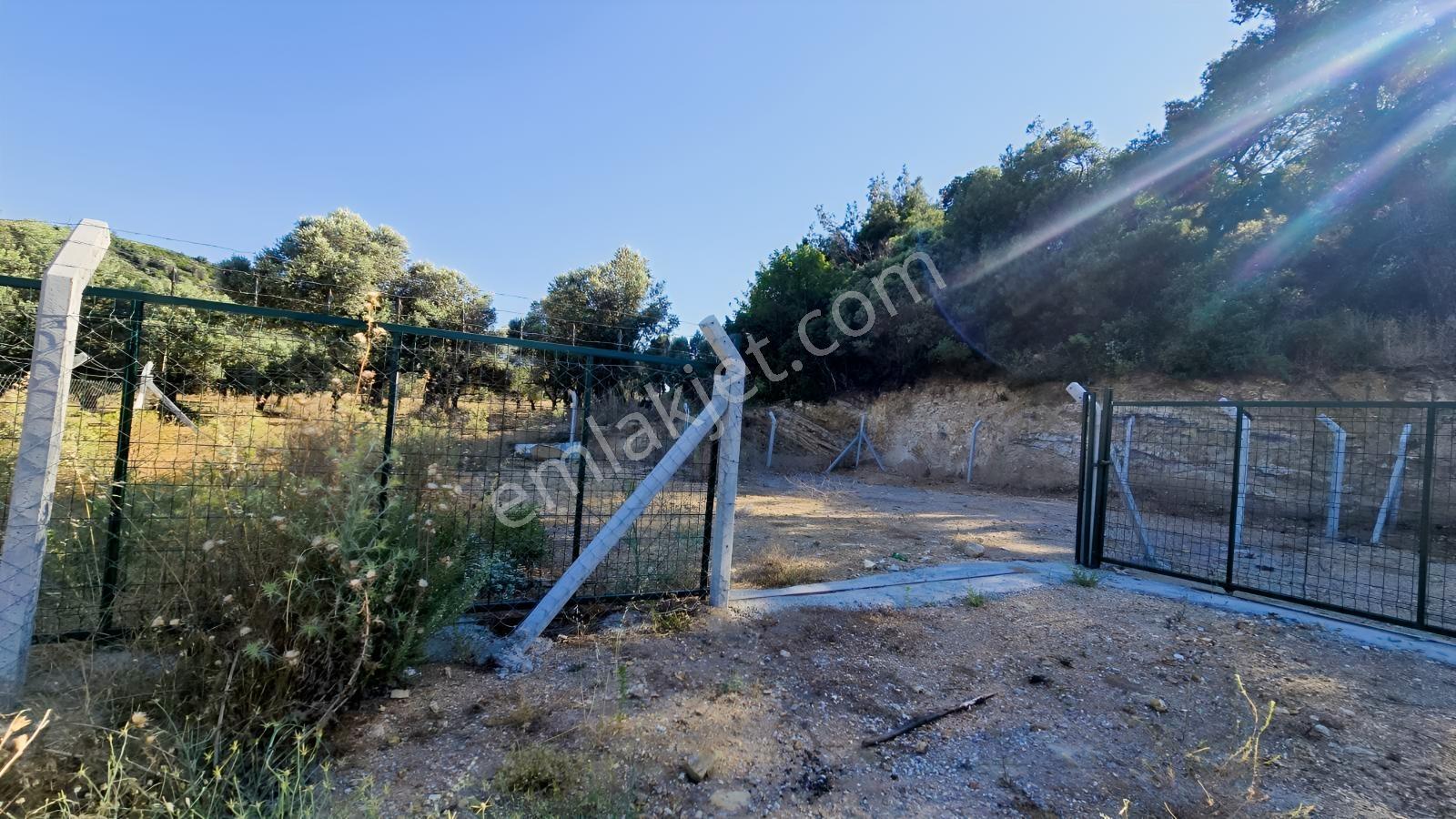 İzmir Foça Kozbeyli 295 M² Vaadi Manzaralı Parsel — fotoğraf 7