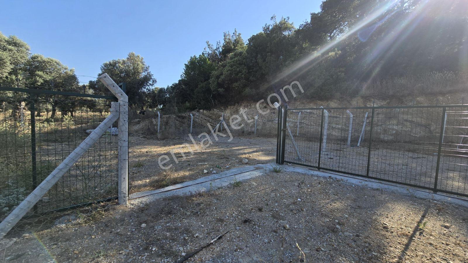 İzmir Foça Kozbeyli 295 M² Vaadi Manzaralı Parsel — fotoğraf 8