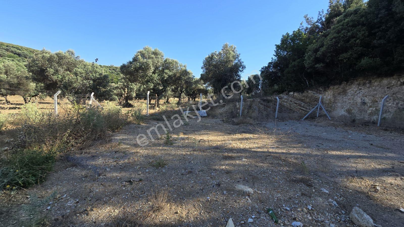 İzmir Foça Kozbeyli 295 M² Vaadi Manzaralı Parsel — fotoğraf 9