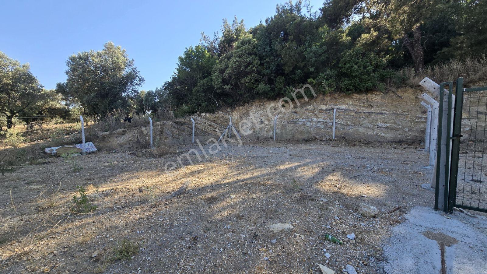 İzmir Foça Kozbeyli 295 M² Vaadi Manzaralı Parsel — fotoğraf 10