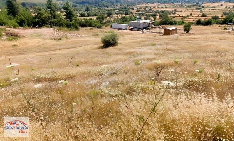 Milas Çam Mahallesinde Satılık Zeytinlik — fotoğraf 2