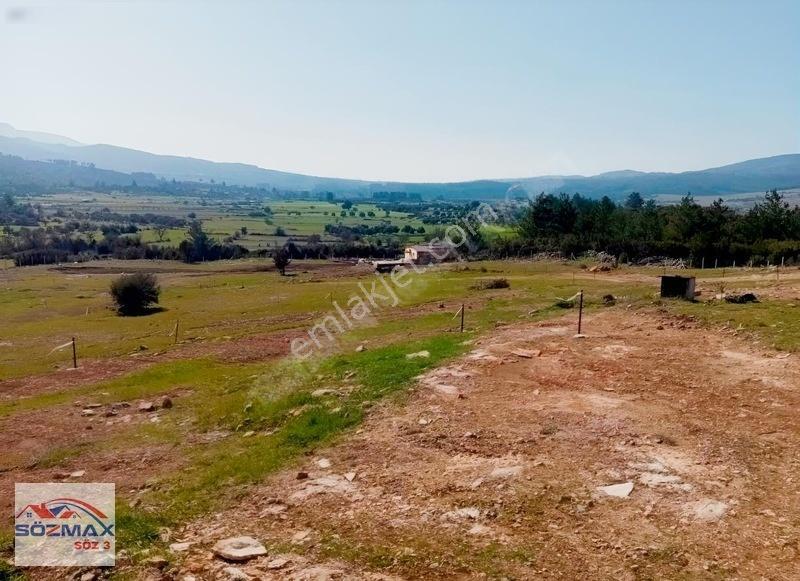 Milas Çam Mahallesinde Satılık Zeytinlik — fotoğraf 4