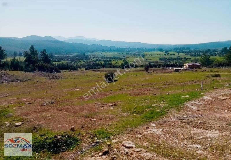 Milas Çam Mahallesinde Satılık Zeytinlik — fotoğraf 8