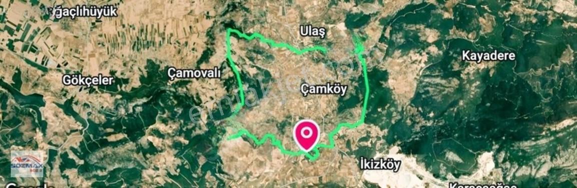 Milas Çam Mahallesinde Satılık Zeytinlik — fotoğraf 9