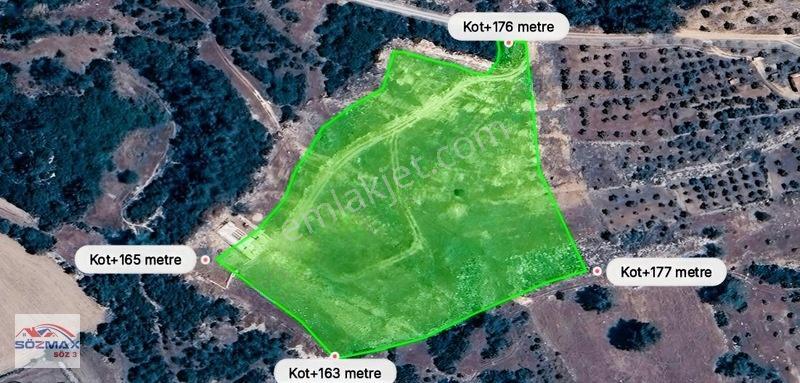 Milas Çam Mahallesinde Satılık Zeytinlik — fotoğraf 11