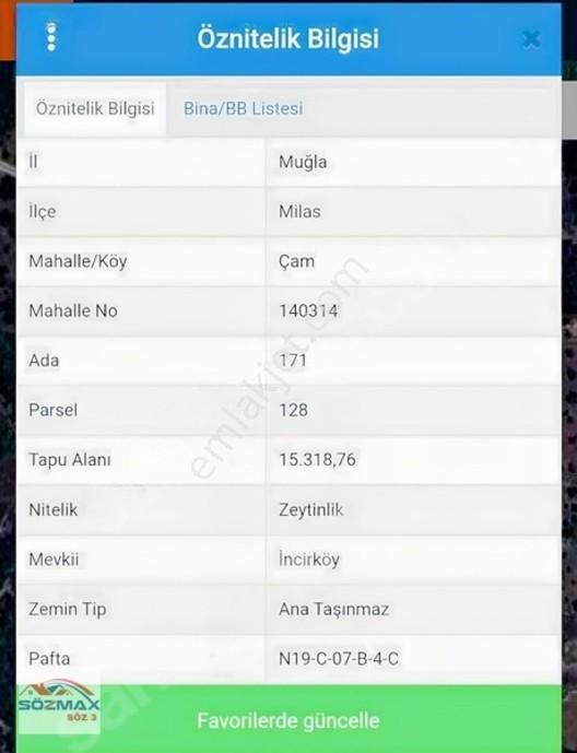 Milas Çam Mahallesinde Satılık Zeytinlik — fotoğraf 19