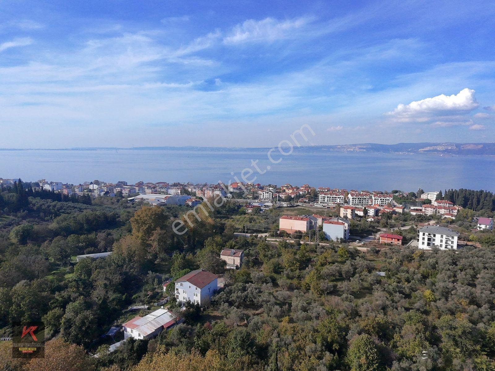 Kardeşten Tepeköyde 1.953M² Yola Cepheli, Doğayla İç İçe Tarla