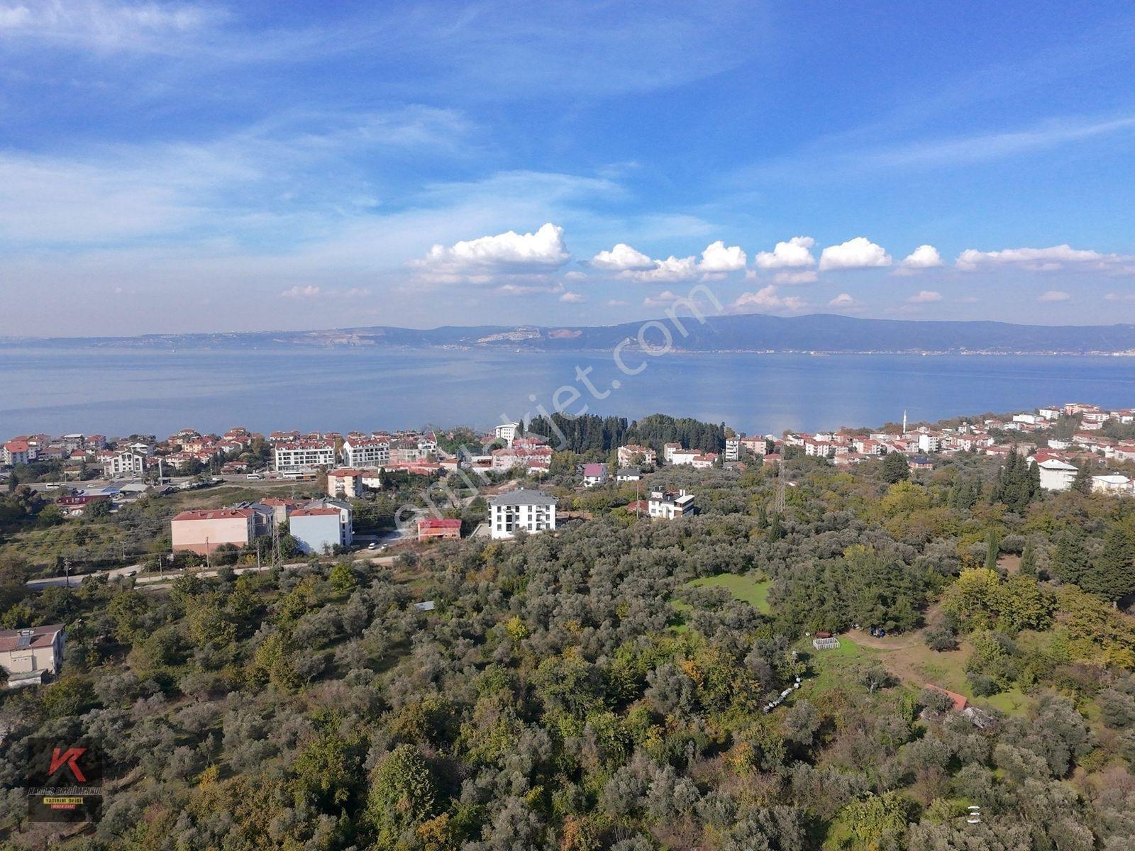 Kardeşten Tepeköyde 1.953m² Yola Cepheli, Doğayla İç İçe Tarla — fotoğraf 2