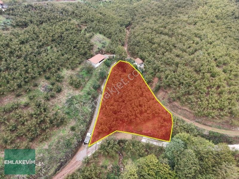 Emlakevim - Hendek Dereköy Mah. De Satılık 1222 M2 Arsa !!!