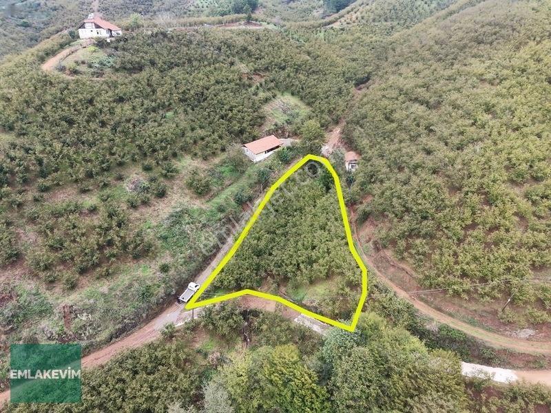 Emlakevim - Hendek Dereköy Mah. De Satılık 1222 M2 Arsa !!! — fotoğraf 2
