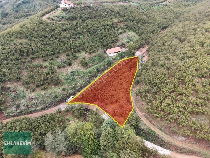Emlakevim - Hendek Dereköy Mah. De Satılık 1222 M2 Arsa !!! — fotoğraf 3