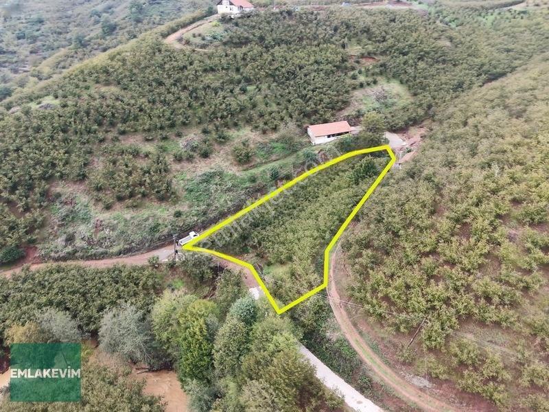 Emlakevim - Hendek Dereköy Mah. De Satılık 1222 M2 Arsa !!! — fotoğraf 4