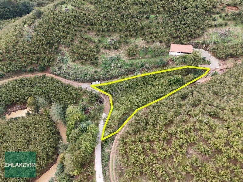 Emlakevim - Hendek Dereköy Mah. De Satılık 1222 M2 Arsa !!! — fotoğraf 5