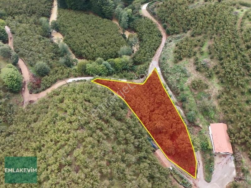 Emlakevim - Hendek Dereköy Mah. De Satılık 1222 M2 Arsa !!! — fotoğraf 6