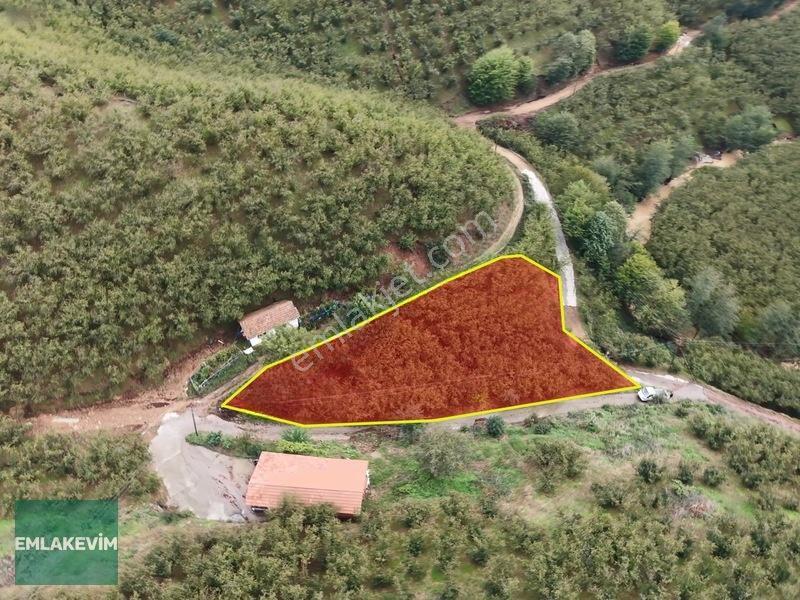 Emlakevim - Hendek Dereköy Mah. De Satılık 1222 M2 Arsa !!! — fotoğraf 7