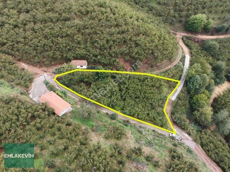 Emlakevim - Hendek Dereköy Mah. De Satılık 1222 M2 Arsa !!! — fotoğraf 8
