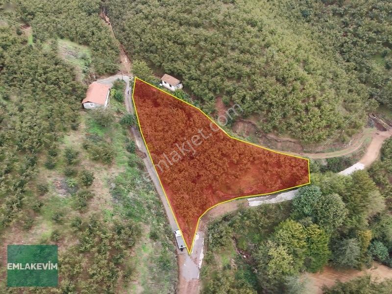 Emlakevim - Hendek Dereköy Mah. De Satılık 1222 M2 Arsa !!! — fotoğraf 10