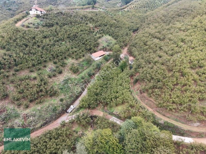 Emlakevim - Hendek Dereköy Mah. De Satılık 1222 M2 Arsa !!! — fotoğraf 11