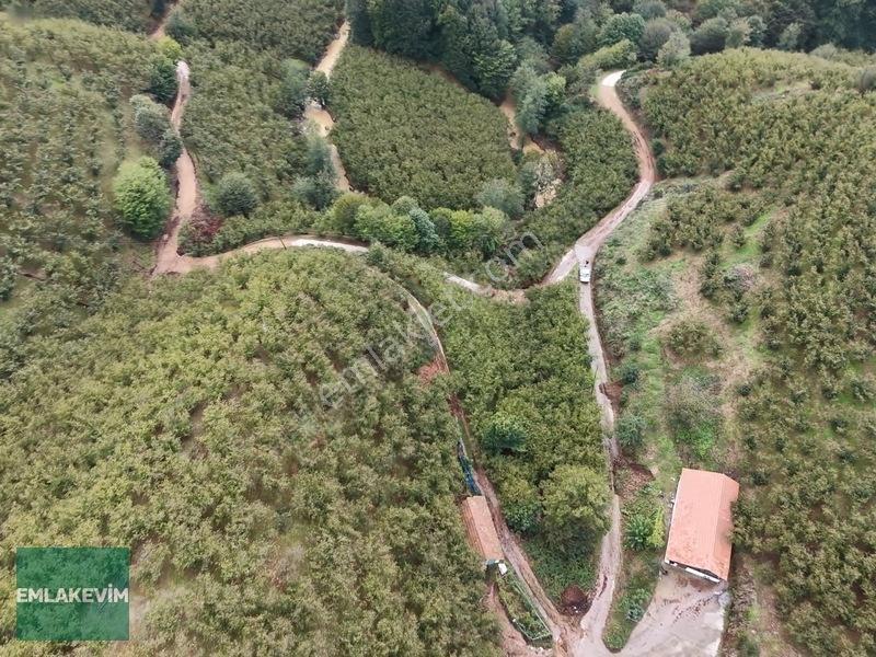 Emlakevim - Hendek Dereköy Mah. De Satılık 1222 M2 Arsa !!! — fotoğraf 12
