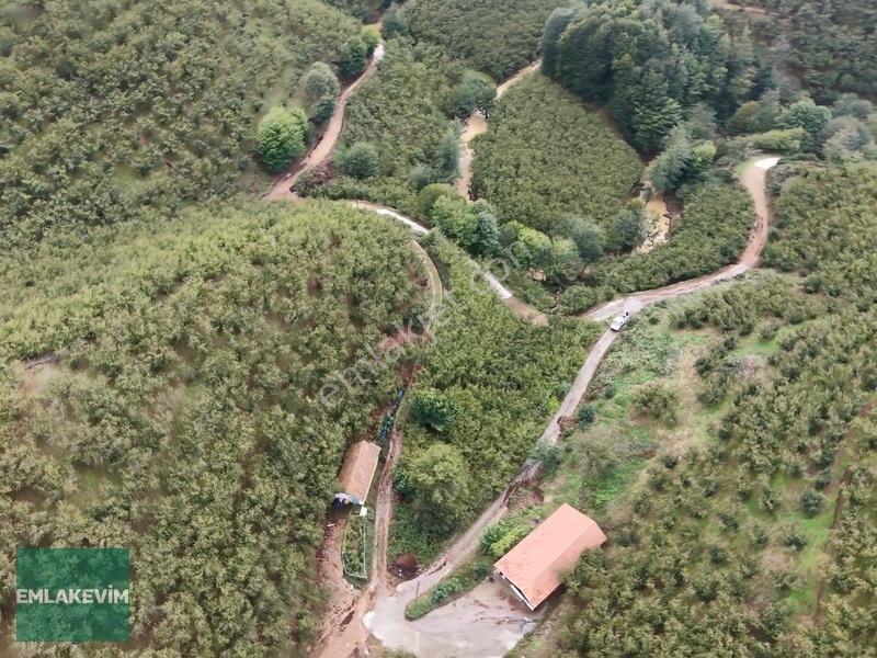Emlakevim - Hendek Dereköy Mah. De Satılık 1222 M2 Arsa !!! — fotoğraf 13