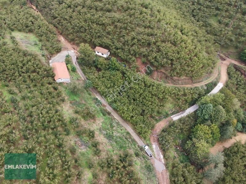 Emlakevim - Hendek Dereköy Mah. De Satılık 1222 M2 Arsa !!! — fotoğraf 14