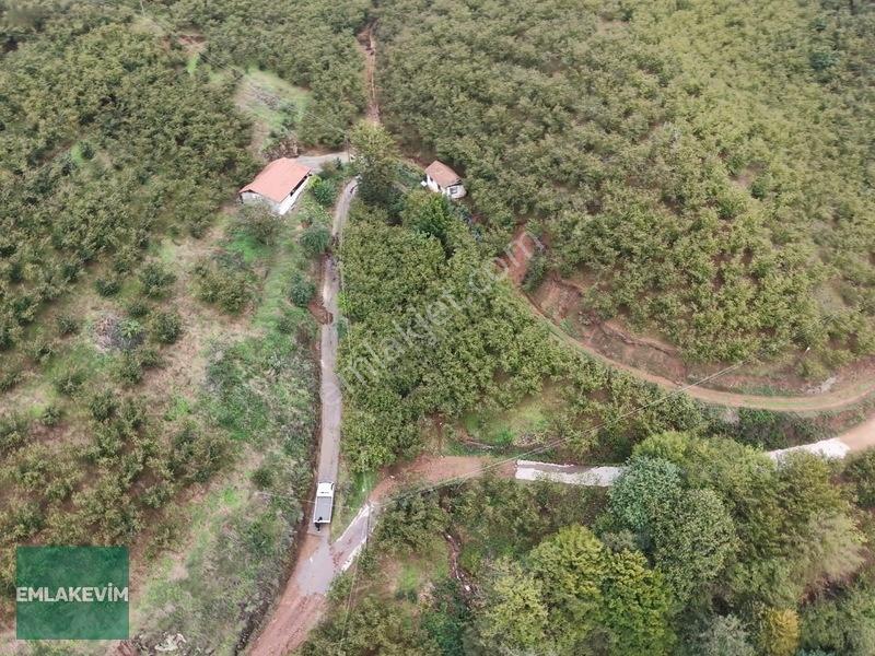 Emlakevim - Hendek Dereköy Mah. De Satılık 1222 M2 Arsa !!! — fotoğraf 15