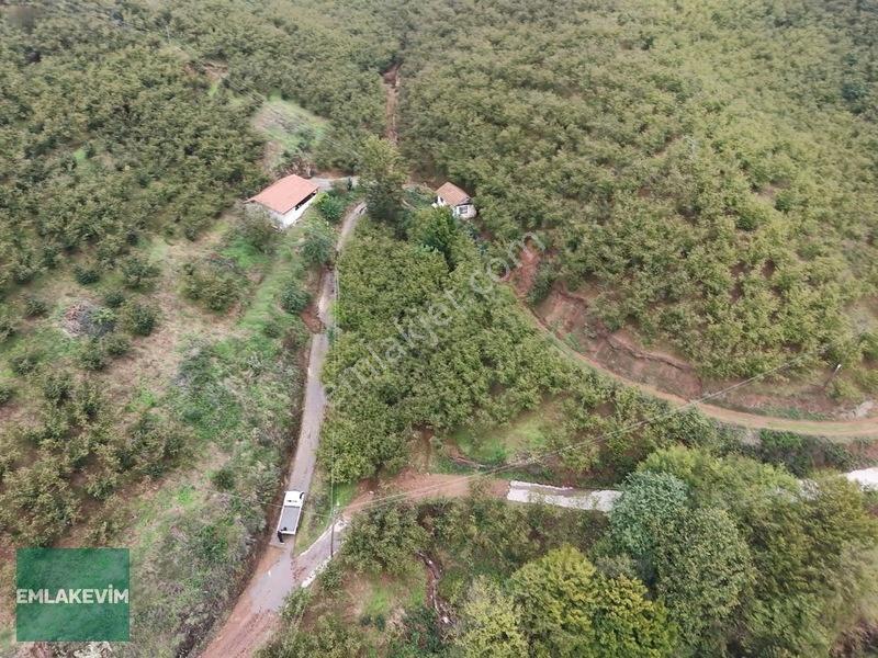 Emlakevim - Hendek Dereköy Mah. De Satılık 1222 M2 Arsa !!! — fotoğraf 16