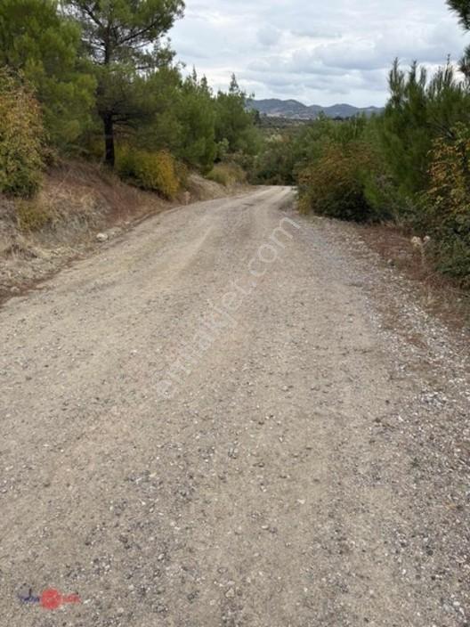 Bergama Kırcalarda Satılık Tarla