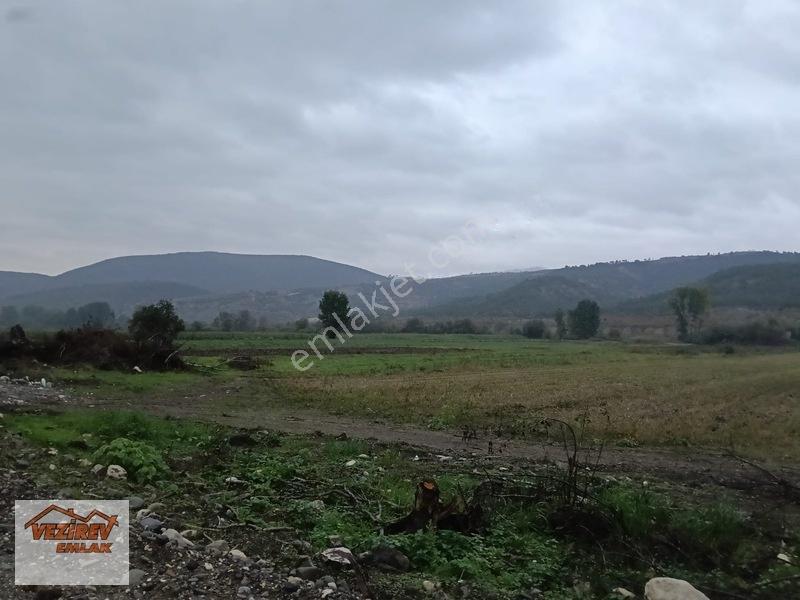 Vezirev Emlak'tan Kületek Mah. 9330 M2 Satılık Tarla — fotoğraf 2