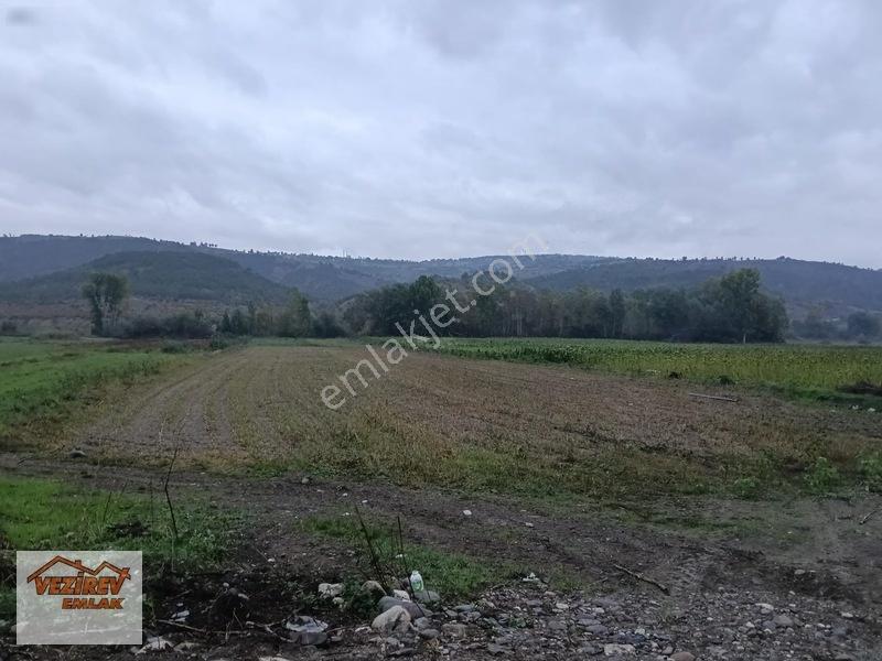 Vezirev Emlak'tan Kületek Mah. 9330 M2 Satılık Tarla — fotoğraf 4