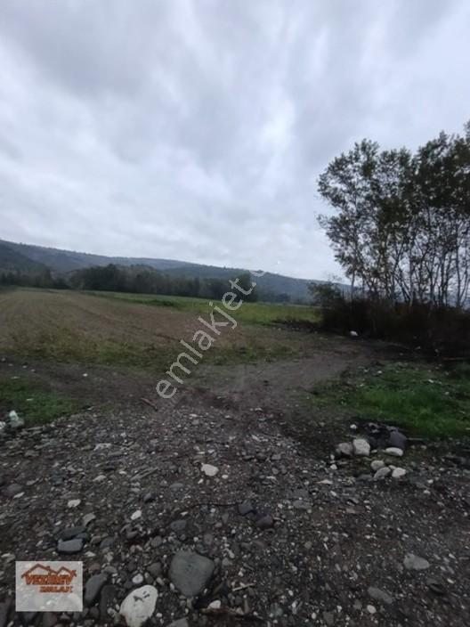Vezirev Emlak'tan Kületek Mah. 9330 M2 Satılık Tarla — fotoğraf 14