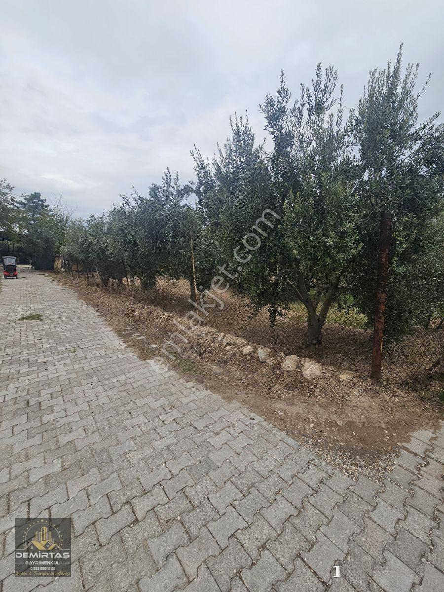 Pamukkale Develı Köyünde Satılık Mustakıl Bahçeli Ev — fotoğraf 21