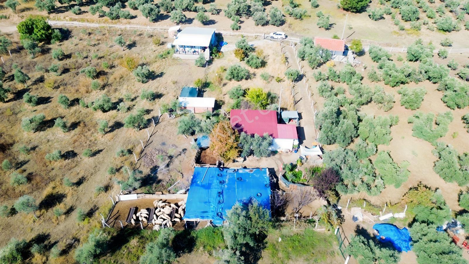 Erzden Kemalpaşa Aşağıkızılcada 430 M² Tek Tapulu Evli Bahçe — fotoğraf 2