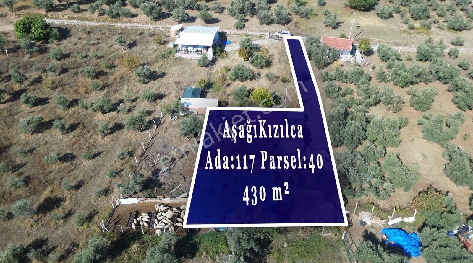 Erzden Kemalpaşa Aşağıkızılcada 430 M² Tek Tapulu Evli Bahçe — fotoğraf 4