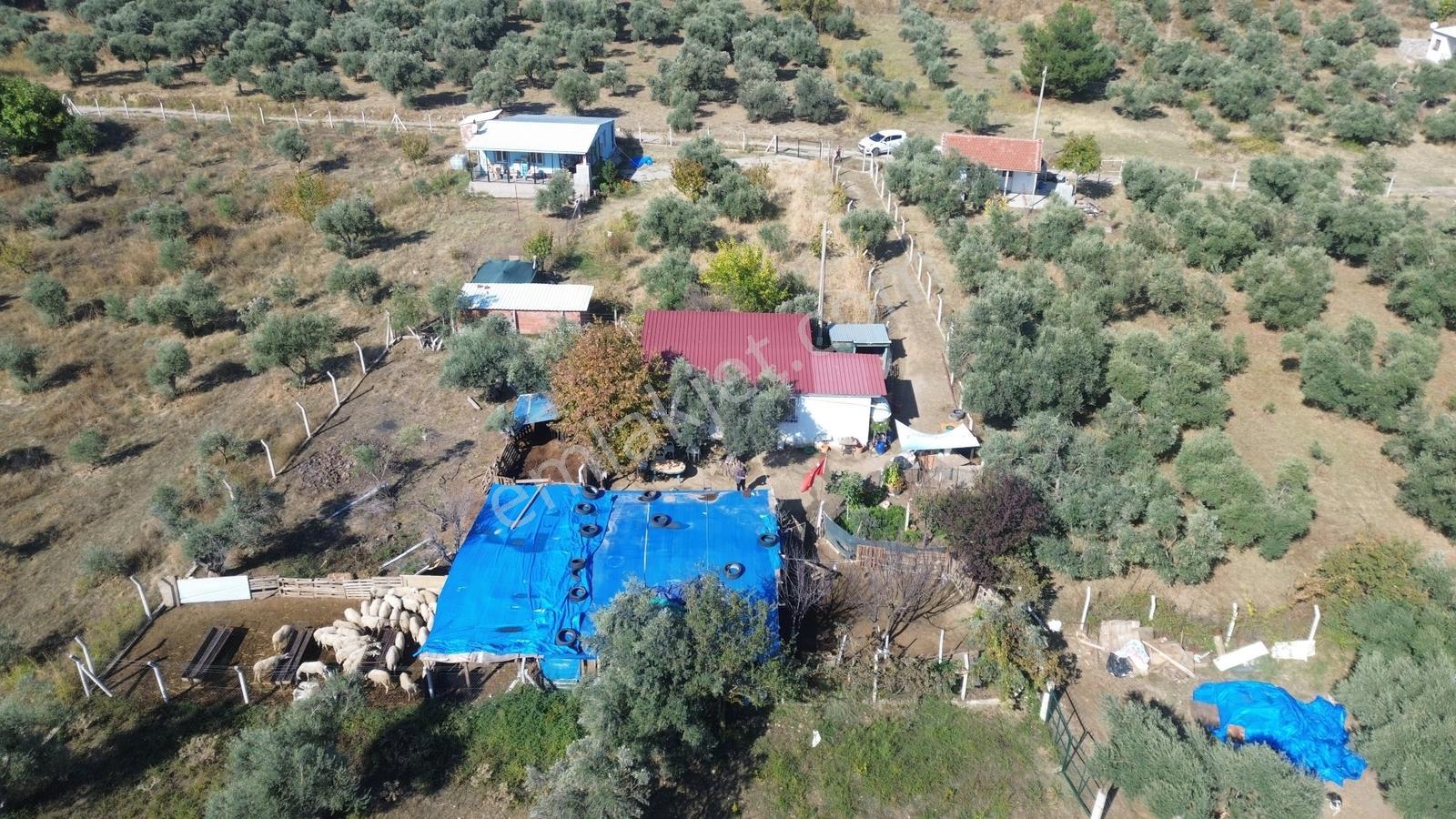 Erzden Kemalpaşa Aşağıkızılcada 430 M² Tek Tapulu Evli Bahçe — fotoğraf 5